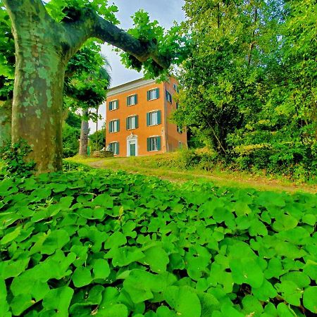 Villa De Benedetti Sarzana Eksteriør billede