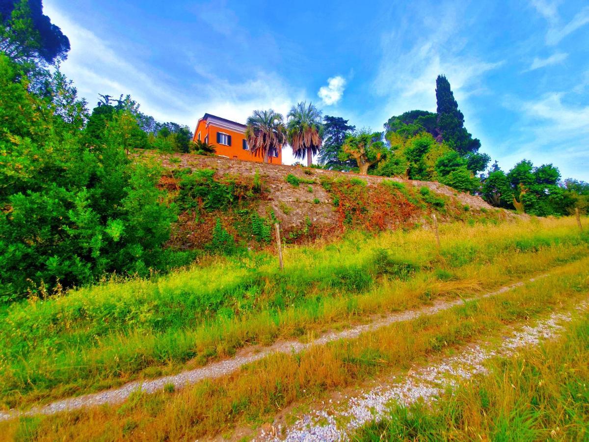 Villa De Benedetti Sarzana Eksteriør billede